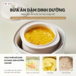 Nồi nấu chậm Bear 0.8L DDZ-A08T8 (Bản Quốc Tế) - Ảnh 9