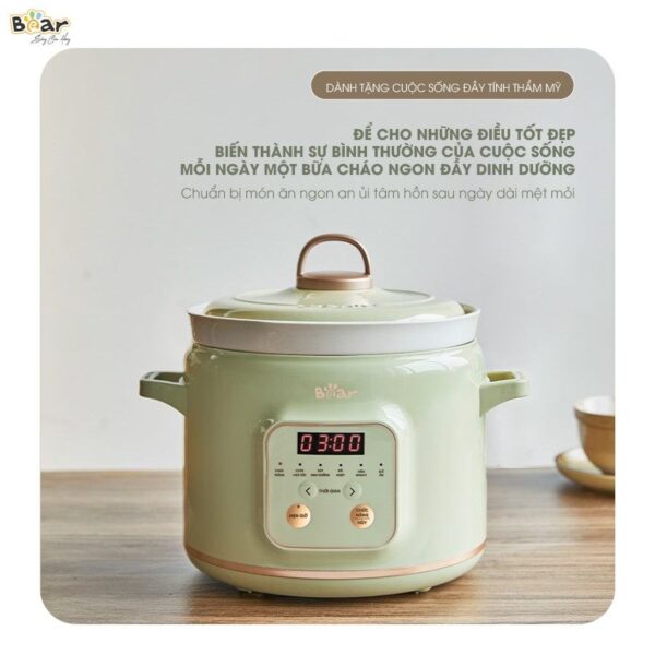 Nồi nấu chậm Bear 2L SB-NNC20 (Bản Quốc Tế) - Ảnh 12